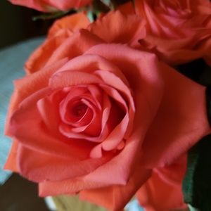 Meet your Posher, Leticia